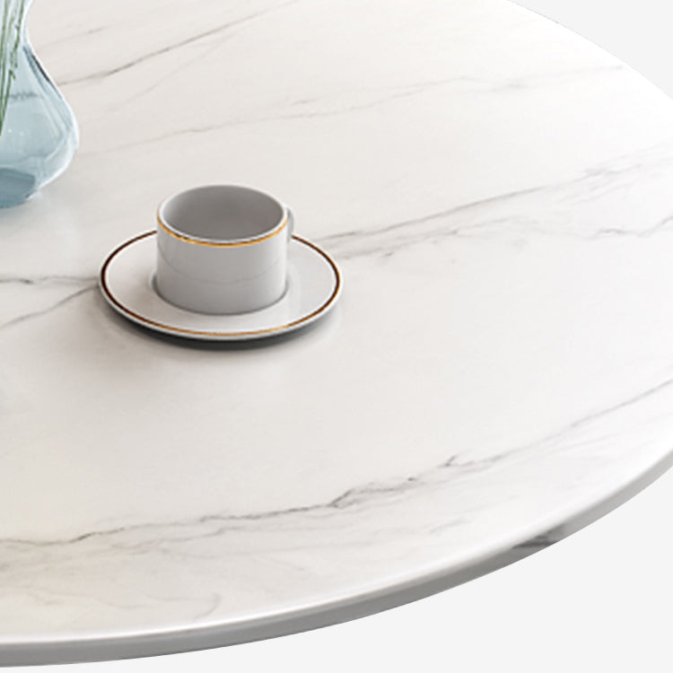 Modern Round Dining Table Sintered Stone Dining Table with Tulip Base for Dining Room Clearhalo ' dining_table' 'Dining Tables & Seating' 'Dining Tables' 'furn' 'furn_dining_table' 'Furniture' 'furniture_dining_table' 'Kitchen & Dining Furniture' 'kitchen&dining_furn' 'kitchen' 'kitchen_dining_table' 3662513