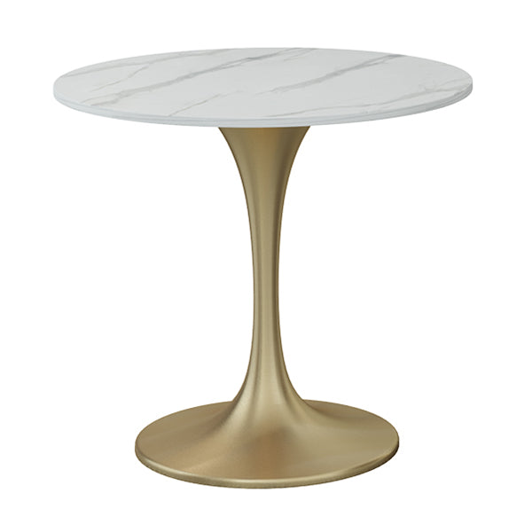 Modern Round Sintered Stone Top Dining Table White Standard Dining Table for Kitchen Gold Without Chairs Clearhalo ' dining_table' 'Dining Tables & Seating' 'Dining Tables' 'furn' 'furn_dining_table' 'Furniture' 'furniture_dining_table' 'Kitchen & Dining Furniture' 'kitchen&dining_furn' 'kitchen' 'kitchen_dining_table' 3662549
