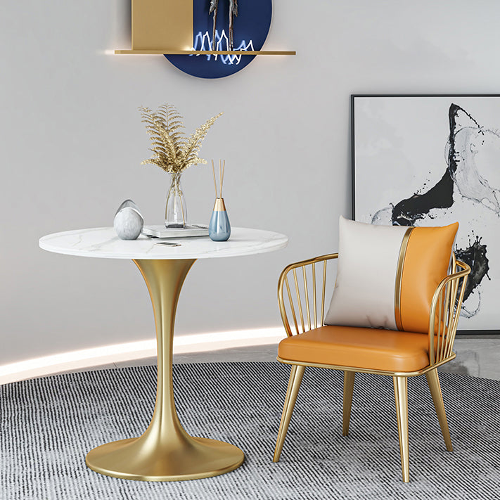 Modern Round Sintered Stone Top Dining Table White Standard Dining Table for Kitchen Clearhalo ' dining_table' 'Dining Tables & Seating' 'Dining Tables' 'furn' 'furn_dining_table' 'Furniture' 'furniture_dining_table' 'Kitchen & Dining Furniture' 'kitchen&dining_furn' 'kitchen' 'kitchen_dining_table' 3662550