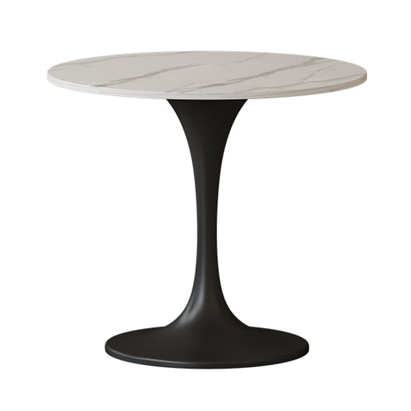 Stone Dining Site Table Contemporary Round Dining Table for Kitchen Home Tulip Without Chairs Clearhalo ' dining_table' 'Dining Tables & Seating' 'Dining Tables' 'furn' 'furn_dining_table' 'Furniture' 'furniture_dining_table' 'Kitchen & Dining Furniture' 'kitchen&dining_furn' 'kitchen' 'kitchen_dining_table' 3662557