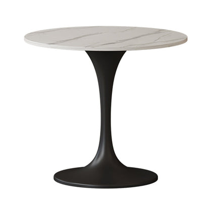 Stone Dining Site Table Contemporary Round Dining Table for Kitchen Home Tulip Without Chairs Clearhalo ' dining_table' 'Dining Tables & Seating' 'Dining Tables' 'furn' 'furn_dining_table' 'Furniture' 'furniture_dining_table' 'Kitchen & Dining Furniture' 'kitchen&dining_furn' 'kitchen' 'kitchen_dining_table' 3662557