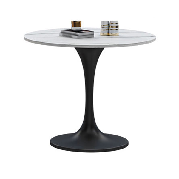Stone Dining Site Table Contemporary Round Dining Table for Kitchen Home Clearhalo ' dining_table' 'Dining Tables & Seating' 'Dining Tables' 'furn' 'furn_dining_table' 'Furniture' 'furniture_dining_table' 'Kitchen & Dining Furniture' 'kitchen&dining_furn' 'kitchen' 'kitchen_dining_table' 3662562