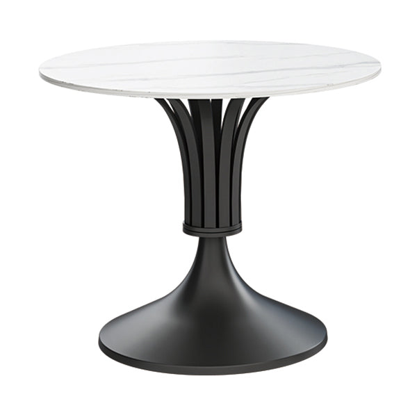 Minimalist Sintered Stone White Dining Table Round Shape Standard Dining Table for Kitchen Black Without Chairs Clearhalo ' dining_table' 'Dining Tables & Seating' 'Dining Tables' 'furn' 'furn_dining_table' 'Furniture' 'furniture_dining_table' 'Kitchen & Dining Furniture' 'kitchen&dining_furn' 'kitchen' 'kitchen_dining_table' 3662597