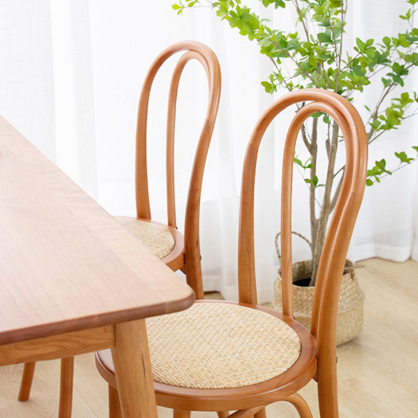 Traditional Style Dining Room Solid Wood Dining Chair Slat Back Side Chair Clearhalo ' kitchen&dining_furn' 'Dining Chairs' 'Dining Tables & Seating' 'dining_chair' 'furn' 'furn_dining_chair' 'Furniture' 'furniture_dining_chair' 'Kitchen & Dining Furniture' 'kitchen' 3663136