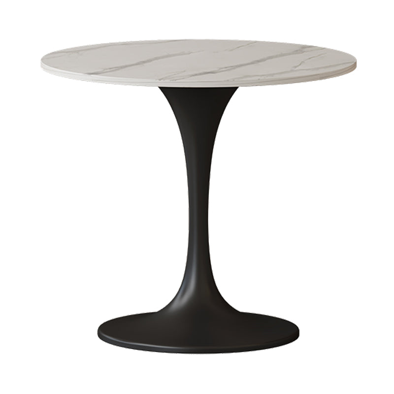 Contemporary Style Tulip Base Furniture Stone Dining Table Round for Home White Black Clearhalo ' dining_table' 'Dining Tables & Seating' 'Dining Tables' 'furn' 'furn_dining_table' 'Furniture' 'furniture_dining_table' 'Kitchen & Dining Furniture' 'kitchen&dining_furn' 'kitchen' 'kitchen_dining_table' 3670434