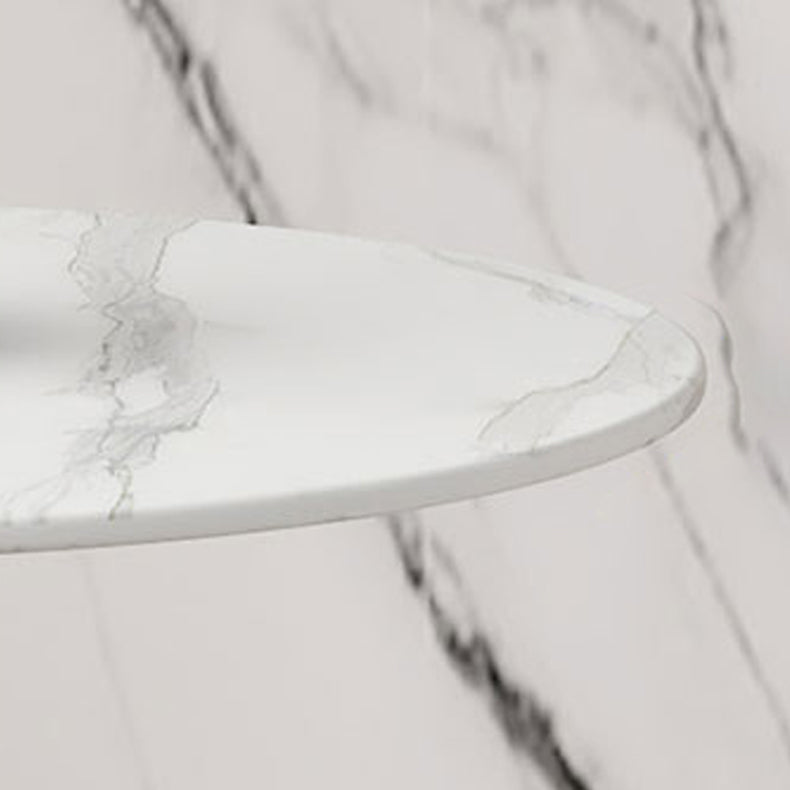 Contemporary Style Stone Dining Table Round Pedestal Table for Dining Room Clearhalo ' dining_table' 'Dining Tables & Seating' 'Dining Tables' 'furn' 'furn_dining_table' 'Furniture' 'furniture_dining_table' 'Kitchen & Dining Furniture' 'kitchen&dining_furn' 'kitchen' 'kitchen_dining_table' 3670507