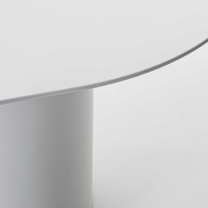 Contemporary Solid Wood Oval Shape Dining Table Kitchen Dining Table with Double Pedestal Base Clearhalo ' dining_table' 'Dining Tables & Seating' 'Dining Tables' 'furn' 'furn_dining_table' 'Furniture' 'furniture_dining_table' 'Kitchen & Dining Furniture' 'kitchen&dining_furn' 'kitchen' 'kitchen_dining_table' 3670564