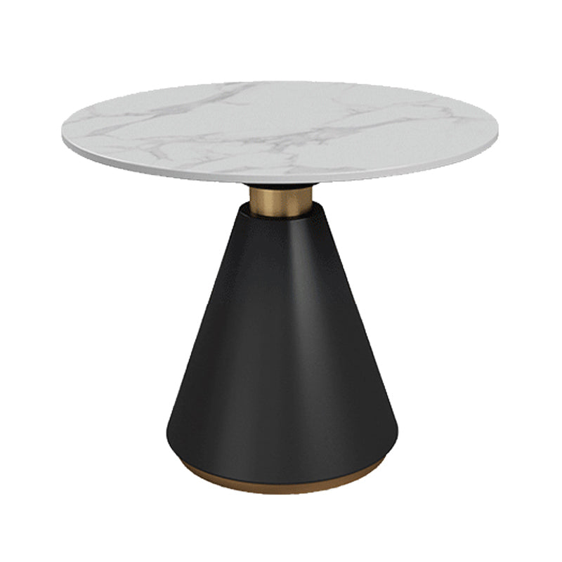 Round Pedestal Dining Table Modern Stone Furniture for Dining Room Home Without Chairs Clearhalo ' dining_table' 'Dining Tables & Seating' 'Dining Tables' 'furn' 'furn_dining_table' 'Furniture' 'furniture_dining_table' 'Kitchen & Dining Furniture' 'kitchen&dining_furn' 'kitchen' 'kitchen_dining_table' 3670584