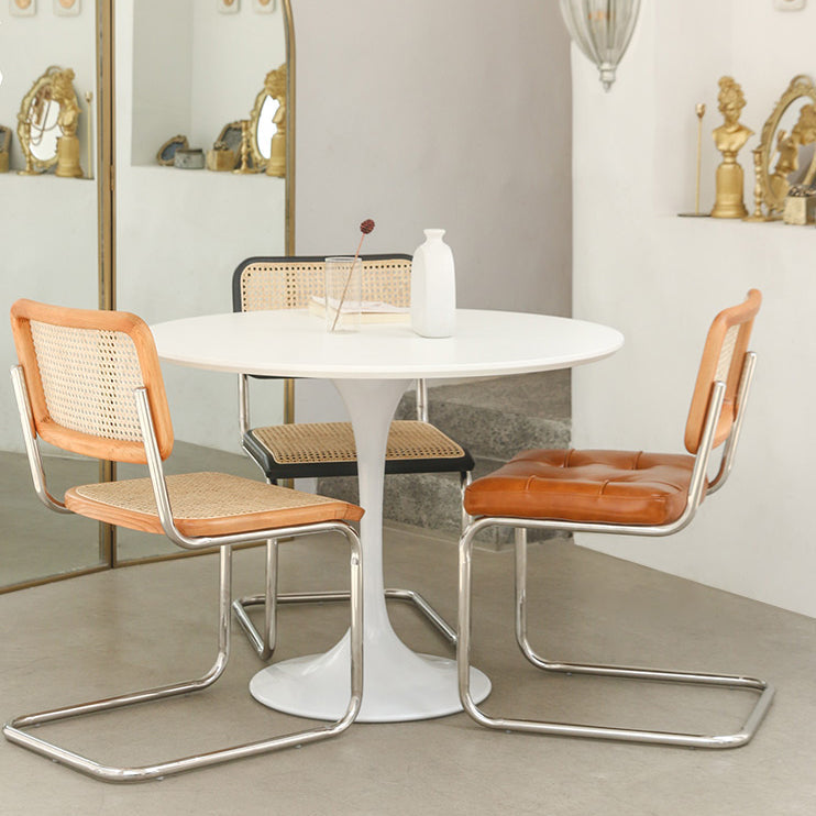 Round Tulip Base Modern Dining Table White Fixed Table with Sintered Stone Clearhalo ' dining_table' 'Dining Tables & Seating' 'Dining Tables' 'furn' 'furn_dining_table' 'Furniture' 'furniture_dining_table' 'Kitchen & Dining Furniture' 'kitchen&dining_furn' 'kitchen' 'kitchen_dining_table' 3670589