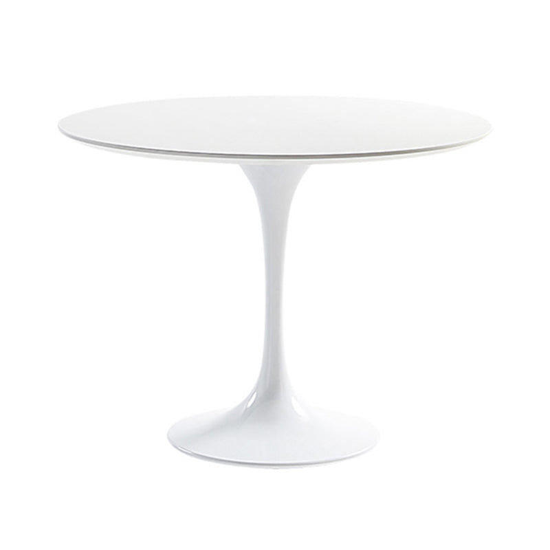 Round Tulip Base Modern Dining Table White Fixed Table with Sintered Stone White Without Chairs Clearhalo ' dining_table' 'Dining Tables & Seating' 'Dining Tables' 'furn' 'furn_dining_table' 'Furniture' 'furniture_dining_table' 'Kitchen & Dining Furniture' 'kitchen&dining_furn' 'kitchen' 'kitchen_dining_table' 3670594