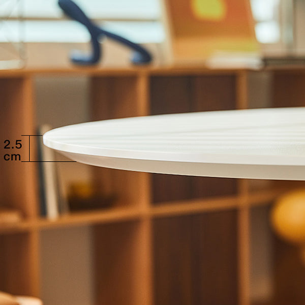 Round Tulip Base Modern Dining Table White Fixed Table with Sintered Stone Clearhalo ' dining_table' 'Dining Tables & Seating' 'Dining Tables' 'furn' 'furn_dining_table' 'Furniture' 'furniture_dining_table' 'Kitchen & Dining Furniture' 'kitchen&dining_furn' 'kitchen' 'kitchen_dining_table' 3670595