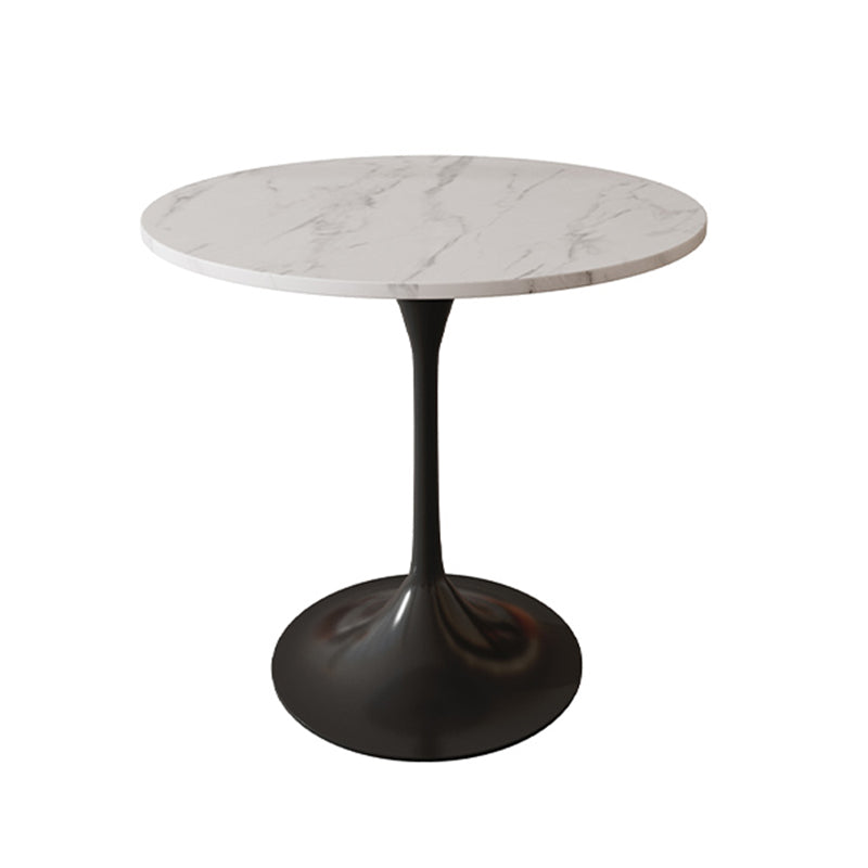 Round Shape Minimalist Dining Table White Fixed Table of Sintered Stone Without Chairs Clearhalo ' dining_table' 'Dining Tables & Seating' 'Dining Tables' 'furn' 'furn_dining_table' 'Furniture' 'furniture_dining_table' 'Kitchen & Dining Furniture' 'kitchen&dining_furn' 'kitchen' 'kitchen_dining_table' 3670662
