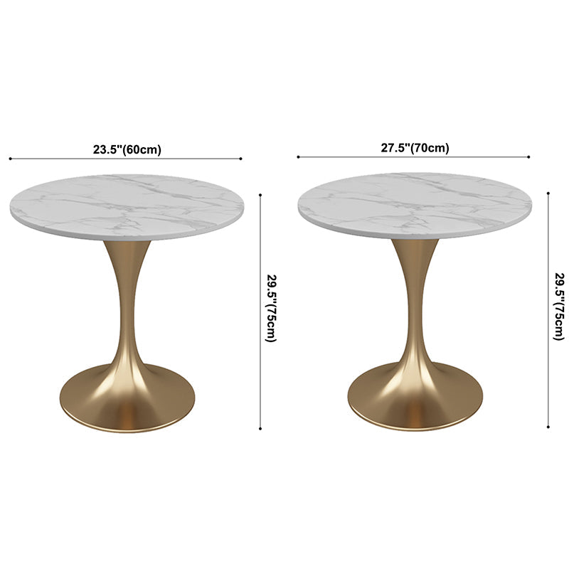 Sintered Stone White Dining Table Simplicity Tulip Base Table for Dining Room Clearhalo ' dining_table' 'Dining Tables & Seating' 'Dining Tables' 'furn' 'furn_dining_table' 'Furniture' 'furniture_dining_table' 'Kitchen & Dining Furniture' 'kitchen&dining_furn' 'kitchen' 'kitchen_dining_table' 3670794