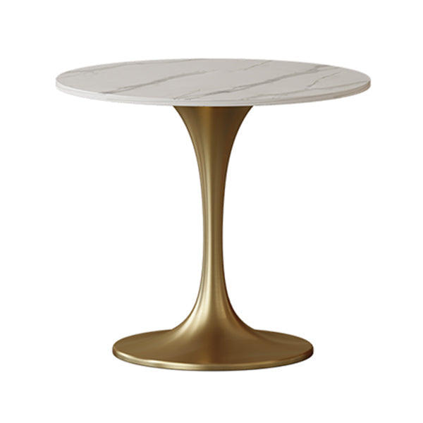 Contemporary Tulip Base Dinner Table Stone Dining Table Round for Home White Gold Clearhalo ' dining_table' 'Dining Tables & Seating' 'Dining Tables' 'furn' 'furn_dining_table' 'Furniture' 'furniture_dining_table' 'Kitchen & Dining Furniture' 'kitchen&dining_furn' 'kitchen' 'kitchen_dining_table' 3670806