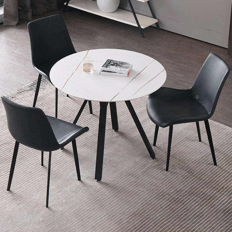 Modern Style Sintered Stone Dining Room Table Round Table with Metal Base Clearhalo ' dining_table' 'Dining Tables & Seating' 'Dining Tables' 'furn' 'furn_dining_table' 'Furniture' 'furniture_dining_table' 'Kitchen & Dining Furniture' 'kitchen&dining_furn' 'kitchen' 'kitchen_dining_table' 3670843