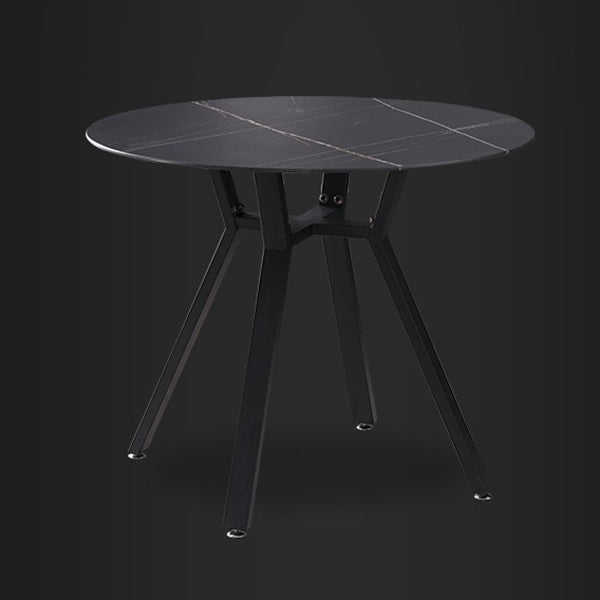Modern Style Sintered Stone Dining Room Table Round Table with Metal Base Clearhalo ' dining_table' 'Dining Tables & Seating' 'Dining Tables' 'furn' 'furn_dining_table' 'Furniture' 'furniture_dining_table' 'Kitchen & Dining Furniture' 'kitchen&dining_furn' 'kitchen' 'kitchen_dining_table' 3670847