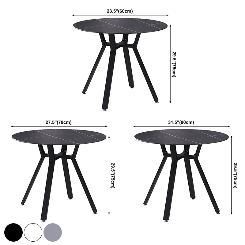 Modern Style Sintered Stone Dining Room Table Round Table with Metal Base Clearhalo ' dining_table' 'Dining Tables & Seating' 'Dining Tables' 'furn' 'furn_dining_table' 'Furniture' 'furniture_dining_table' 'Kitchen & Dining Furniture' 'kitchen&dining_furn' 'kitchen' 'kitchen_dining_table' 3670852