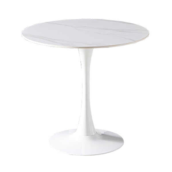 Modern Style Sintered Stone Dining Room Table Round Table with Tulip Base White Without Chairs Clearhalo ' dining_table' 'Dining Tables & Seating' 'Dining Tables' 'furn' 'furn_dining_table' 'Furniture' 'furniture_dining_table' 'Kitchen & Dining Furniture' 'kitchen&dining_furn' 'kitchen' 'kitchen_dining_table' 3670855