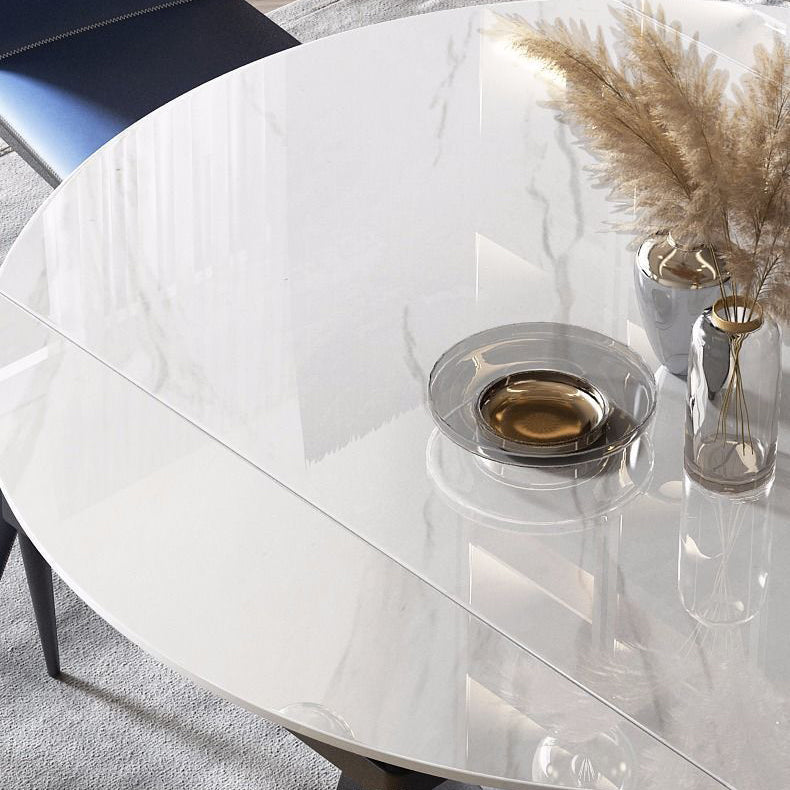 Modern Style Sintered Stone Dining Room Table Round Home Table with Metal Base Clearhalo ' dining_table' 'Dining Tables & Seating' 'Dining Tables' 'Furniture' 'furniture_dining_table' 'Kitchen & Dining Furniture' 'kitchen&dining_furn' 'kitchen' 'kitchen_dining_table' 3670947