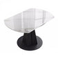Modern Style Sintered Stone Dining Room Table Round Home Table with Metal Base Clearhalo ' dining_table' 'Dining Tables & Seating' 'Dining Tables' 'Furniture' 'furniture_dining_table' 'Kitchen & Dining Furniture' 'kitchen&dining_furn' 'kitchen' 'kitchen_dining_table' 3670951