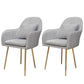 Glam Dining Arm Chair Solid Back Side Chair with 4 Metal Legs for Home Use Grey 2 Piece Set Brass Gold Clearhalo ' kitchen&dining_furn' 'Dining Chairs' 'Dining Tables & Seating' 'dining_chair' 'furn' 'furn_dining_chair' 'Furniture' 'furniture_dining_chair' 'Kitchen & Dining Furniture' 'kitchen' 3671111