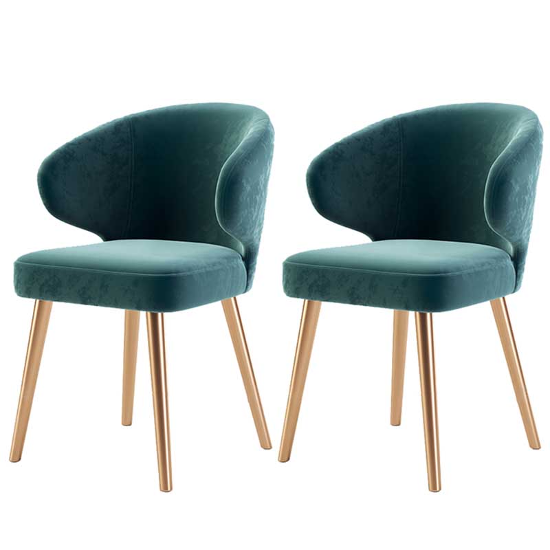 Modern Indoor-Outdoor Chair Metal Dining Wingback Armless Chair for Kitchen Green 2 Piece Set Brass Gold Clearhalo ' kitchen&dining_furn' 'Dining Chairs' 'Dining Tables & Seating' 'dining_chair' 'furn' 'furn_dining_chair' 'Furniture' 'furniture_dining_chair' 'Kitchen & Dining Furniture' 'kitchen' 3672293