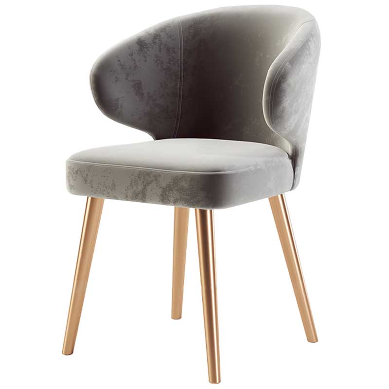 Modern Indoor-Outdoor Chair Metal Dining Wingback Armless Chair for Kitchen Grey 1 Piece Brass Gold Clearhalo ' kitchen&dining_furn' 'Dining Chairs' 'Dining Tables & Seating' 'dining_chair' 'furn' 'furn_dining_chair' 'Furniture' 'furniture_dining_chair' 'Kitchen & Dining Furniture' 'kitchen' 3672307