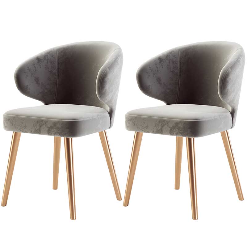 Modern Indoor-Outdoor Chair Metal Dining Wingback Armless Chair for Kitchen Grey 2 Piece Set Brass Gold Clearhalo ' kitchen&dining_furn' 'Dining Chairs' 'Dining Tables & Seating' 'dining_chair' 'furn' 'furn_dining_chair' 'Furniture' 'furniture_dining_chair' 'Kitchen & Dining Furniture' 'kitchen' 3672308