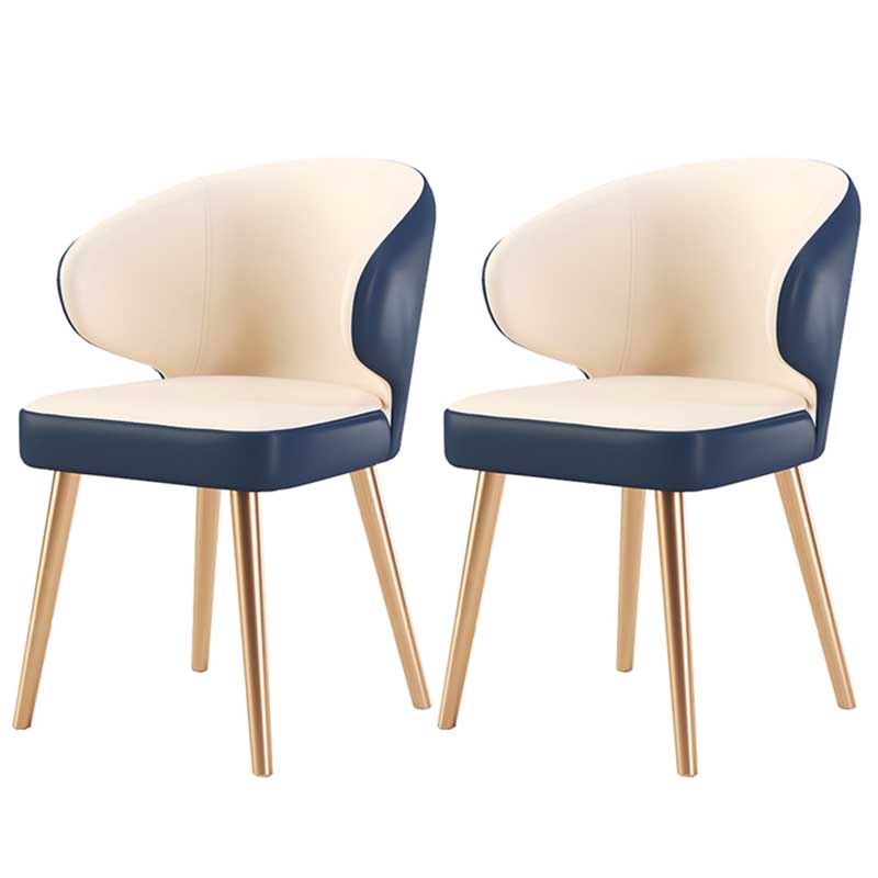 Modern Indoor-Outdoor Chair Metal Dining Wingback Armless Chair for Kitchen Dark Blue-White 2 Piece Set Brass Gold Clearhalo ' kitchen&dining_furn' 'Dining Chairs' 'Dining Tables & Seating' 'dining_chair' 'furn' 'furn_dining_chair' 'Furniture' 'furniture_dining_chair' 'Kitchen & Dining Furniture' 'kitchen' 3672311