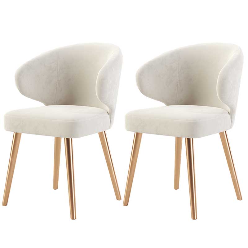 Modern Indoor-Outdoor Chair Metal Dining Wingback Armless Chair for Kitchen White 2 Piece Set Brass Gold Clearhalo ' kitchen&dining_furn' 'Dining Chairs' 'Dining Tables & Seating' 'dining_chair' 'furn' 'furn_dining_chair' 'Furniture' 'furniture_dining_chair' 'Kitchen & Dining Furniture' 'kitchen' 3672314