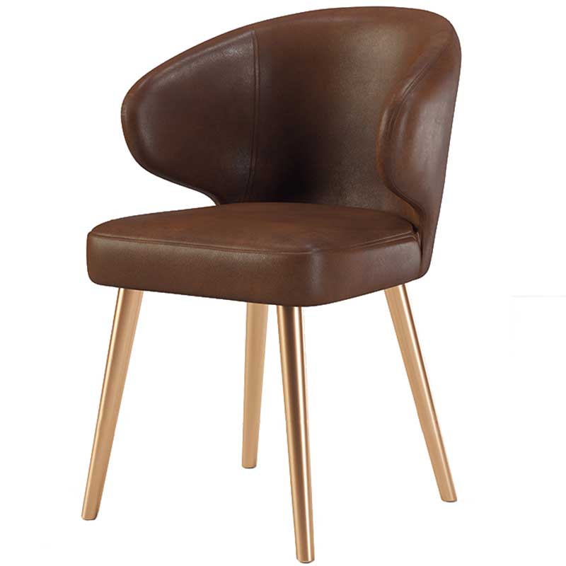 Modern Indoor-Outdoor Chair Metal Dining Wingback Armless Chair for Kitchen Brown 1 Piece Brass Gold Clearhalo ' kitchen&dining_furn' 'Dining Chairs' 'Dining Tables & Seating' 'dining_chair' 'furn' 'furn_dining_chair' 'Furniture' 'furniture_dining_chair' 'Kitchen & Dining Furniture' 'kitchen' 3672325