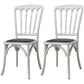 Wood Farmhouse Restaurant Side Chair Slat Back Vintage Tone Dining Chair White 2 Piece Set Clearhalo ' kitchen&dining_furn' 'Dining Chairs' 'Dining Tables & Seating' 'dining_chair' 'furn' 'furn_dining_chair' 'Furniture' 'furniture_dining_chair' 'Kitchen & Dining Furniture' 'kitchen' 3672604