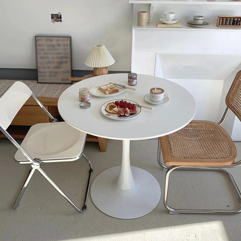 Simple Style Home Solid Wood Dining Table Round Shape Table with Tulip Base Clearhalo ' dining_table' 'Dining Tables & Seating' 'Dining Tables' 'furn' 'furn_dining_table' 'Furniture' 'furniture_dining_table' 'Kitchen & Dining Furniture' 'kitchen&dining_furn' 'kitchen' 'kitchen_dining_table' 3704137