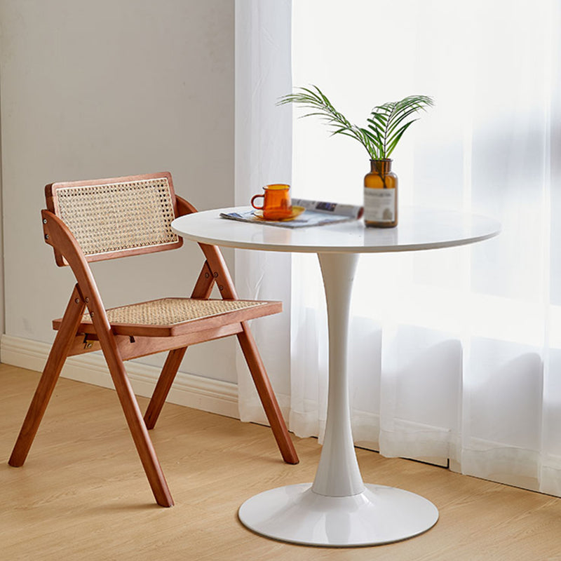 Simple Style Home Solid Wood Dining Table Round Shape Table with Tulip Base Clearhalo ' dining_table' 'Dining Tables & Seating' 'Dining Tables' 'furn' 'furn_dining_table' 'Furniture' 'furniture_dining_table' 'Kitchen & Dining Furniture' 'kitchen&dining_furn' 'kitchen' 'kitchen_dining_table' 3704138