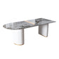Contemporary Home Sintered Stone Dining Table Freeform Shape Table with Double Pedestal Base Black Without Chairs Clearhalo ' dining_table' 'Dining Tables & Seating' 'Dining Tables' 'furn' 'furn_dining_table' 'Furniture' 'furniture_dining_table' 'Kitchen & Dining Furniture' 'kitchen&dining_furn' 'kitchen' 'kitchen_dining_table' 3704302