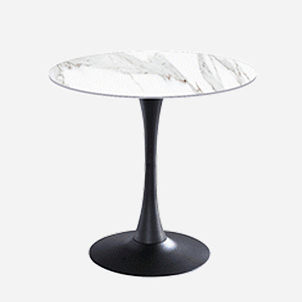 Contemporary Round Dining Table Sintered Stone Dining Table with Tulip Base for Home Kitchen Dinner White Black Clearhalo ' dining_table' 'Dining Tables & Seating' 'Dining Tables' 'furn' 'furn_dining_table' 'Furniture' 'furniture_dining_table' 'Kitchen & Dining Furniture' 'kitchen&dining_furn' 'kitchen' 'kitchen_dining_table' 3704316