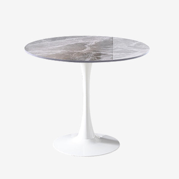 Contemporary Round Dining Table Sintered Stone Dining Table with Tulip Base for Home Kitchen Dinner Gray White Clearhalo ' dining_table' 'Dining Tables & Seating' 'Dining Tables' 'furn' 'furn_dining_table' 'Furniture' 'furniture_dining_table' 'Kitchen & Dining Furniture' 'kitchen&dining_furn' 'kitchen' 'kitchen_dining_table' 3704318