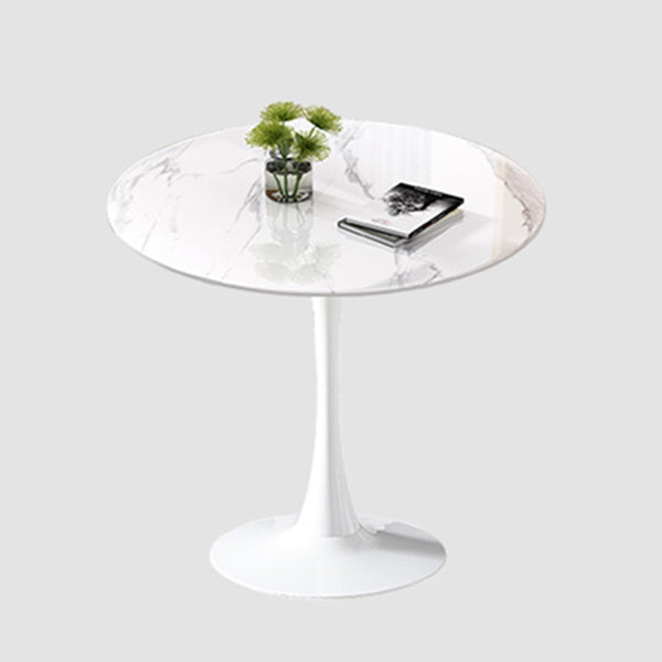 Contemporary Round Dining Table Sintered Stone Dining Table with Tulip Base for Home Kitchen Dinner White White Clearhalo ' dining_table' 'Dining Tables & Seating' 'Dining Tables' 'furn' 'furn_dining_table' 'Furniture' 'furniture_dining_table' 'Kitchen & Dining Furniture' 'kitchen&dining_furn' 'kitchen' 'kitchen_dining_table' 3704320
