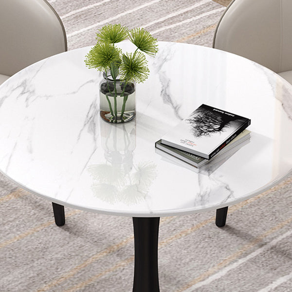Contemporary Round Dining Table Sintered Stone Dining Table with Tulip Base for Home Kitchen Dinner Clearhalo ' dining_table' 'Dining Tables & Seating' 'Dining Tables' 'furn' 'furn_dining_table' 'Furniture' 'furniture_dining_table' 'Kitchen & Dining Furniture' 'kitchen&dining_furn' 'kitchen' 'kitchen_dining_table' 3704324