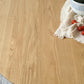 Round 4-foot Dining Table Oak Solid Wood Furniture for Dining Room Home Clearhalo ' dining_table' 'Dining Tables & Seating' 'Dining Tables' 'furn' 'furn_dining_table' 'Furniture' 'furniture_dining_table' 'Kitchen & Dining Furniture' 'kitchen&dining_furn' 'kitchen' 'kitchen_dining_table' 3704495