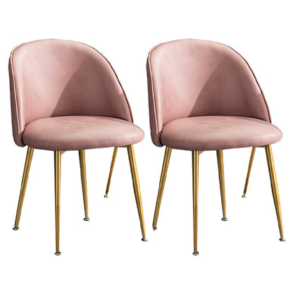 Glam Dining Side Chairs for Home Use Cushioned Armless Chair with Gold Legs Cameo Brown 2 Piece Set Clearhalo ' kitchen&dining_furn' 'Dining Chairs' 'Dining Tables & Seating' 'dining_chair' 'furn' 'furn_dining_chair' 'Furniture' 'furniture_dining_chair' 'Kitchen & Dining Furniture' 'kitchen' 3705034