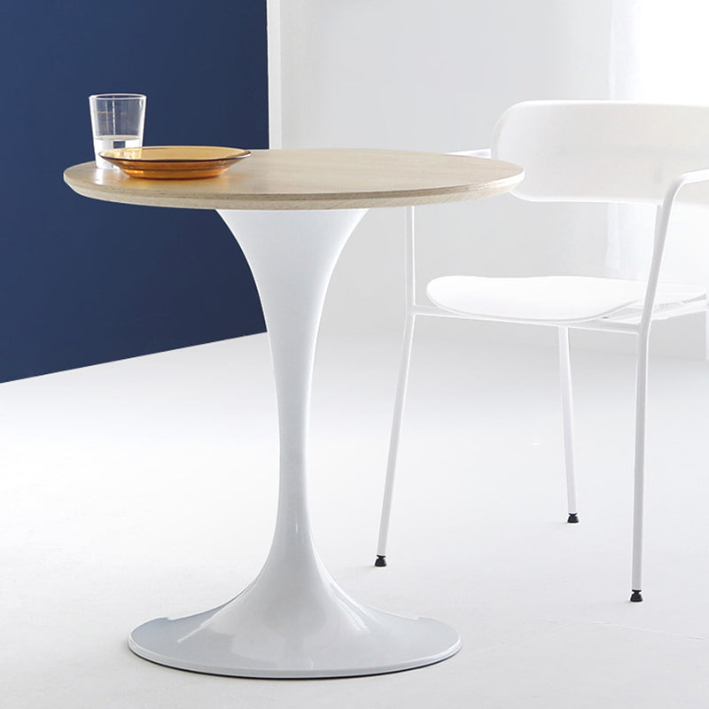 Contemporary Solid Wood Round Shape Dining Table Kitchen Standard Dining Table with Pedestal Base Clearhalo ' dining_table' 'Dining Tables & Seating' 'Dining Tables' 'furn' 'furn_dining_table' 'Furniture' 'furniture_dining_table' 'Kitchen & Dining Furniture' 'kitchen&dining_furn' 'kitchen' 'kitchen_dining_table' 3724259