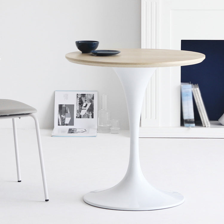 Contemporary Solid Wood Round Shape Dining Table Kitchen Standard Dining Table with Pedestal Base Clearhalo ' dining_table' 'Dining Tables & Seating' 'Dining Tables' 'furn' 'furn_dining_table' 'Furniture' 'furniture_dining_table' 'Kitchen & Dining Furniture' 'kitchen&dining_furn' 'kitchen' 'kitchen_dining_table' 3724261
