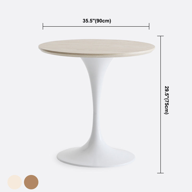 Contemporary Solid Wood Round Shape Dining Table Kitchen Standard Dining Table with Pedestal Base Clearhalo ' dining_table' 'Dining Tables & Seating' 'Dining Tables' 'furn' 'furn_dining_table' 'Furniture' 'furniture_dining_table' 'Kitchen & Dining Furniture' 'kitchen&dining_furn' 'kitchen' 'kitchen_dining_table' 3724269