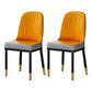 Scandinavian Style Metal Dining Chairs Dining Room Armless Cushioned Parsons Chair Orange-Gray 2 Piece Set Clearhalo ' kitchen&dining_furn' 'Dining Chairs' 'Dining Tables & Seating' 'dining_chair' 'furn' 'furn_dining_chair' 'Furniture' 'furniture_dining_chair' 'Kitchen & Dining Furniture' 'kitchen' 3724531