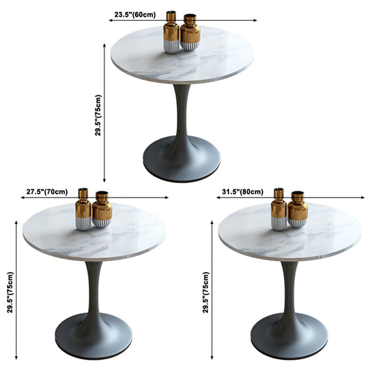 Metal Contemporary Round Dining Table Sintered Stone Dining Table with Pedestal Base