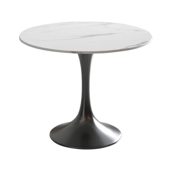 Round Sintered Stone White Dining Table Simplicity Tulip Table for Dining Room Without Chairs Clearhalo ' dining_table' 'Dining Tables & Seating' 'Dining Tables' 'furn' 'furn_dining_table' 'Furniture' 'furniture_dining_table' 'Kitchen & Dining Furniture' 'kitchen&dining_furn' 'kitchen' 'kitchen_dining_table' 3739421
