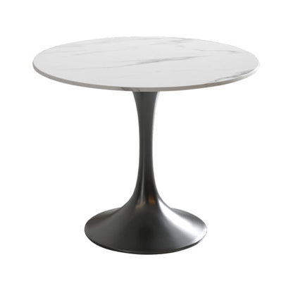 Round Sintered Stone White Dining Table Simplicity Tulip Table for Dining Room Without Chairs Clearhalo ' dining_table' 'Dining Tables & Seating' 'Dining Tables' 'furn' 'furn_dining_table' 'Furniture' 'furniture_dining_table' 'Kitchen & Dining Furniture' 'kitchen&dining_furn' 'kitchen' 'kitchen_dining_table' 3739421