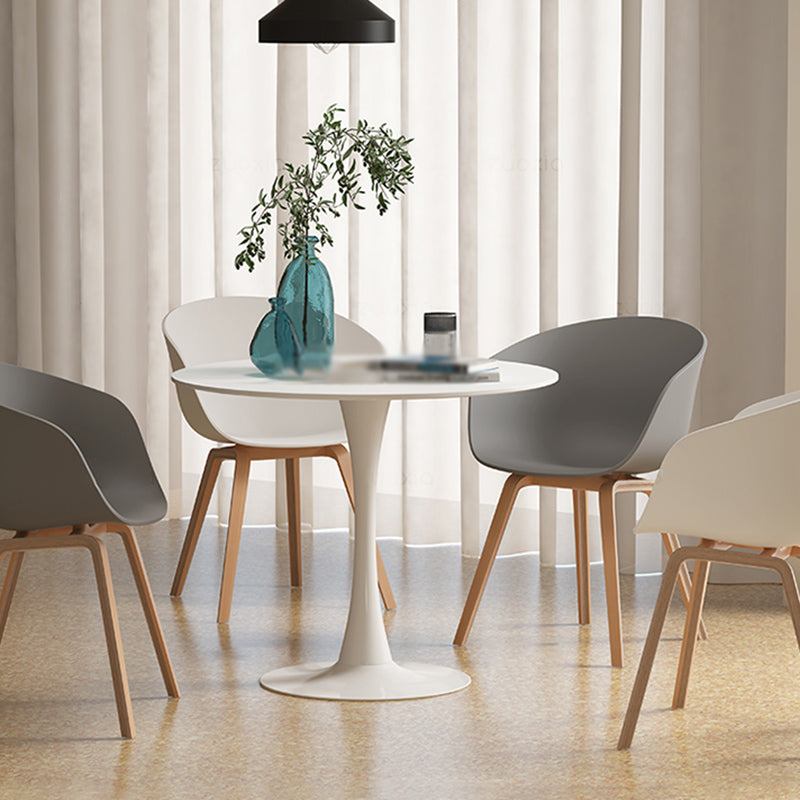 Contemporary Style Dining Room Chairs Kitchen Arm Chairs with Wooden Legs Clearhalo ' kitchen&dining_furn' 'Dining Chairs' 'Dining Tables & Seating' 'dining_chair' 'Furniture' 'furniture_dining_chair' 'Kitchen & Dining Furniture' 'kitchen' 3741523
