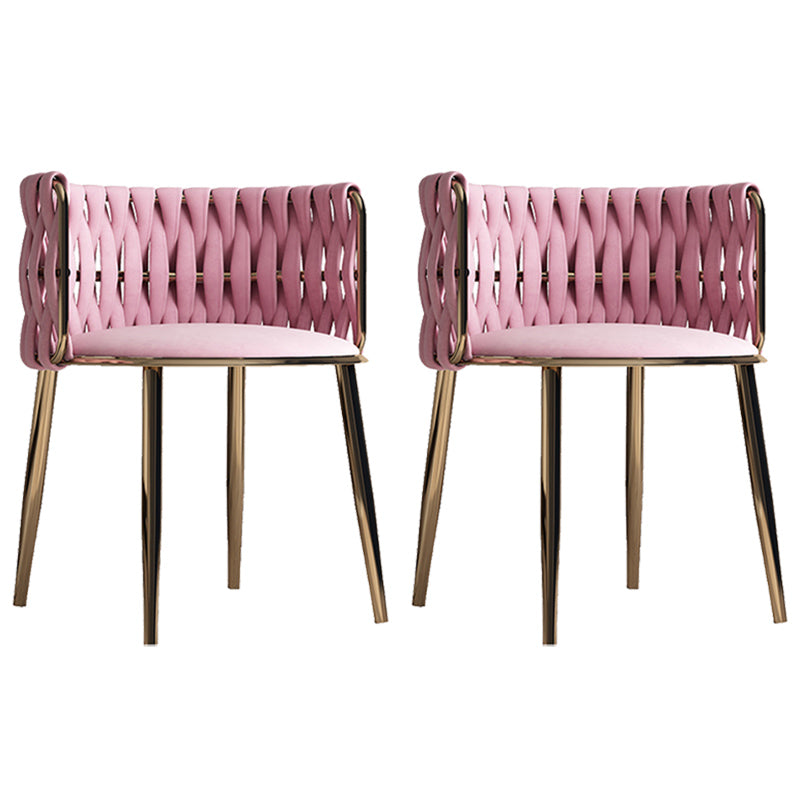 Contemporary Metal Dining Room Armchairs Upholstered Side Chairs for Home Use Rose Bloom 2 Piece Set Clearhalo ' kitchen&dining_furn' 'Dining Chairs' 'Dining Tables & Seating' 'dining_chair' 'furn' 'furn_dining_chair' 'Furniture' 'furniture_dining_chair' 'Kitchen & Dining Furniture' 'kitchen' 3741658